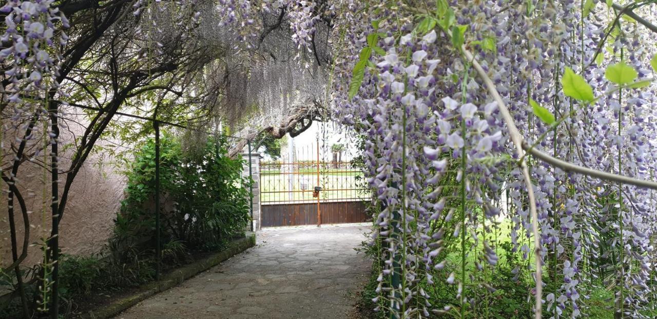 Villa Lago Foreground - Pet Friendly Stay- Garden-Parking-Lake View- Bike Friendly Holiday House Colico Exterior foto