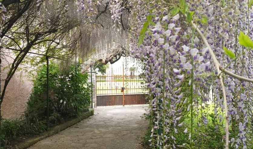 Villa Lago Foreground - Pet Friendly Stay- Garden-Parking-Lake View- Bike Friendly Holiday House Colico Exterior foto
