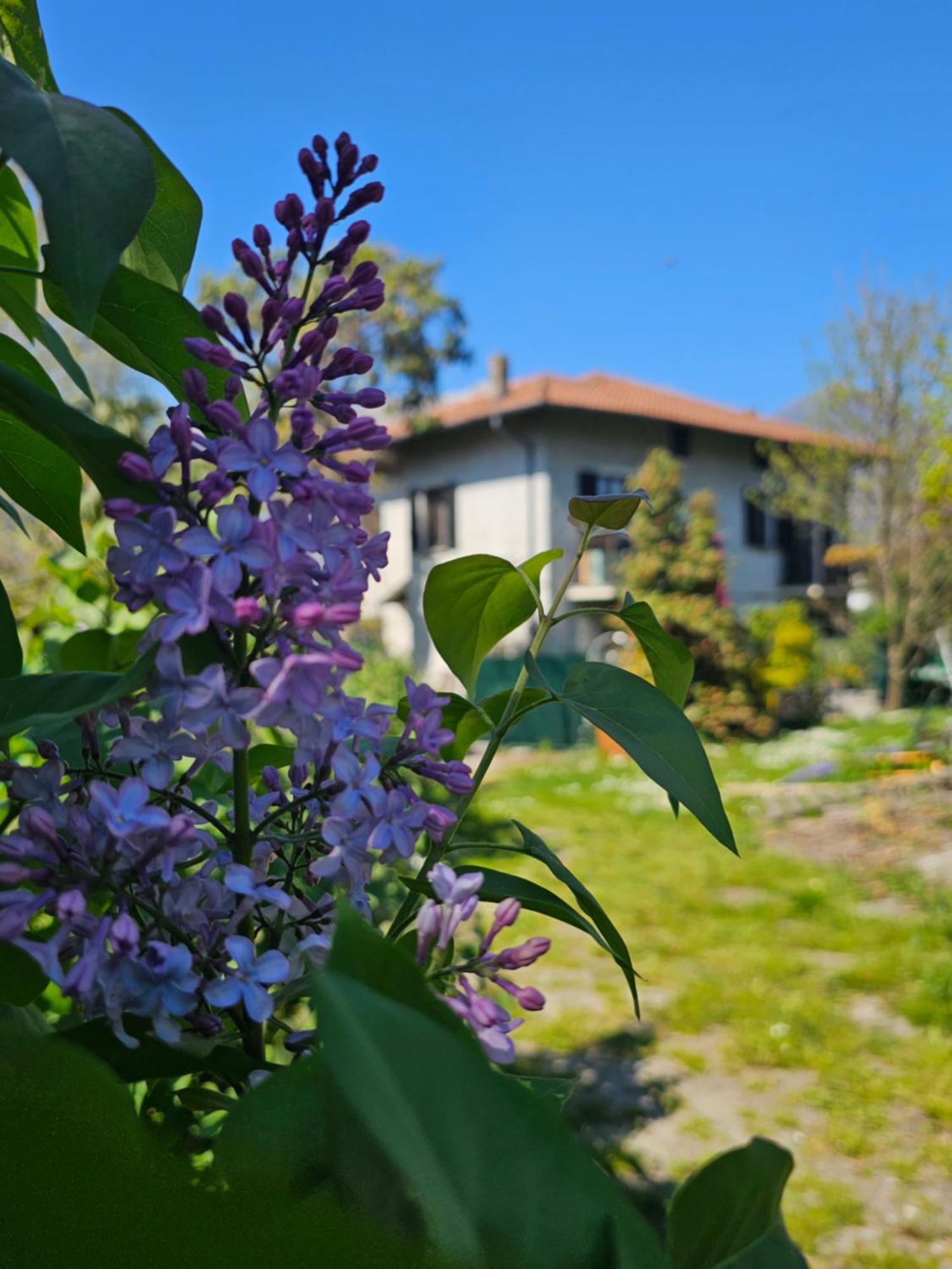Villa Lago Foreground - Pet Friendly Stay- Garden-Parking-Lake View- Bike Friendly Holiday House Colico Exterior foto