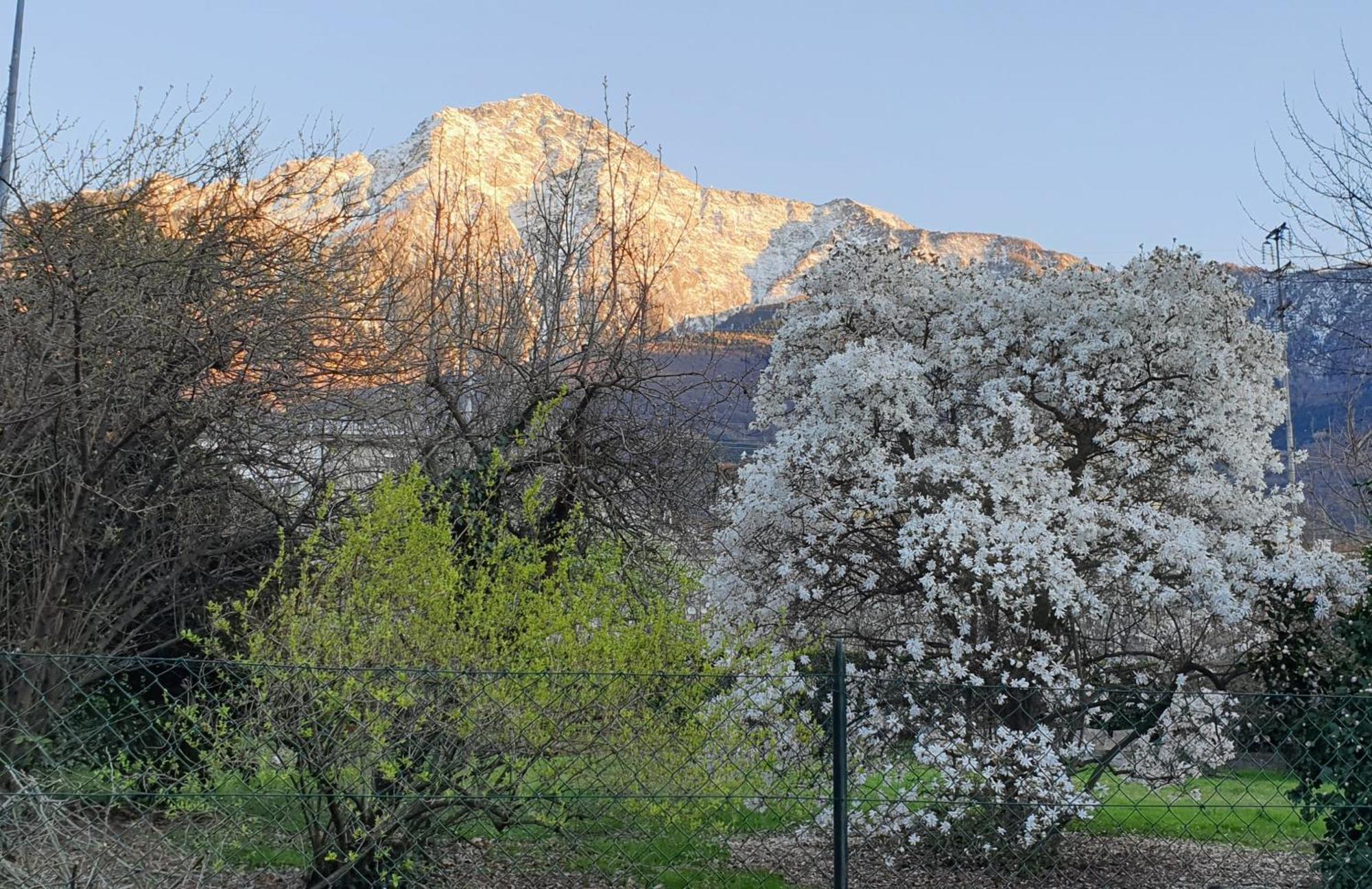 Villa Lago Foreground - Pet Friendly Stay- Garden-Parking-Lake View- Bike Friendly Holiday House Colico Exterior foto